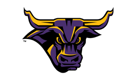 Minnesota State University - Volleyball